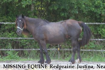 MISSING EQUINE Redprairie Justina, Near Denham Springs, LA, 70706